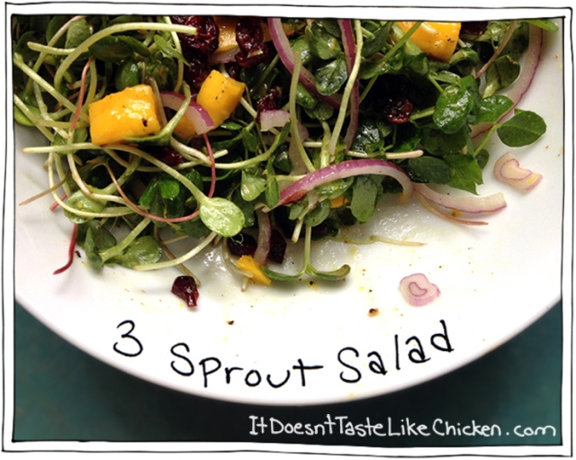 3 Sprout Salad